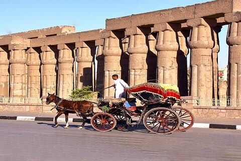 Private 5 Hour Tour in Luxor by Horse Carriage