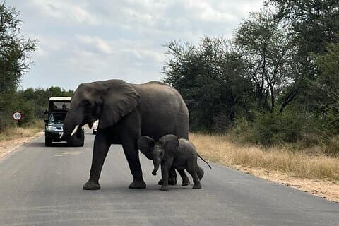 2 nights Private Kruger Park Safari and Panorama Route