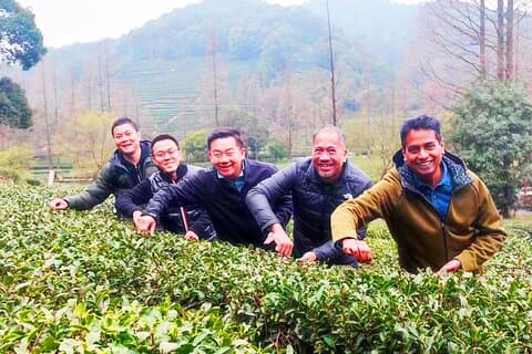 Visita privada de 2 horas a la plantación de té en Hangzhou, China