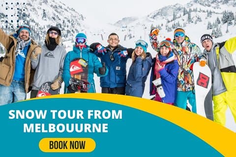 Private Snow Tour From Melbourne - Up to 14 Travellers