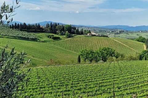 PRIVATE WINE TOUR TUSCANY Chianti Wineries, Expert English driver