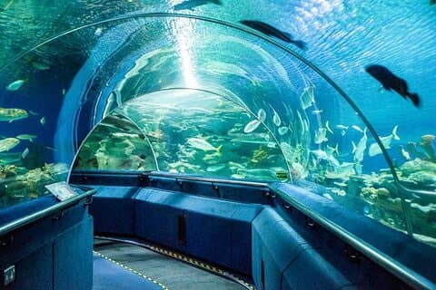 Malásia: Ingresso eletrônico para o Aquaria KLCC