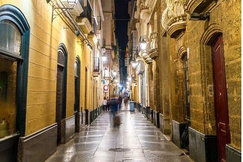 Cádiz: passeio privado a pé personalizado com guia local