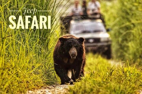 Night Stay in Chitwan National Park, 2 Nights 3 Days Package