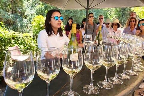Privada San Antonio, Visitar Concha y Toro Winery & Transfer hotel