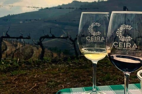 Heldagstur i Douro-dalen med vinsmagning