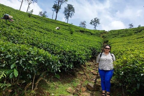 Sri lanka uge i paradis