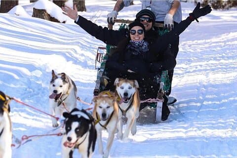 Ushuaia: Full day Snow: Sledding with Huskies Snowmobile 4x4