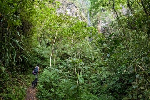 Privat tur gennem Chicaque Natural Park og Forest of Fog