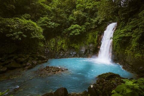 Caminata por Río Celeste y Parque Nacional Tenorio