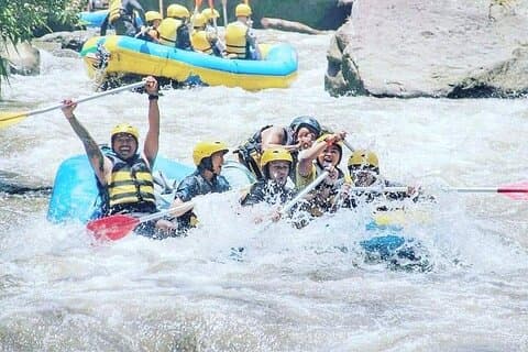Ubud White Water Rafting Half Day Tour With Lunch
