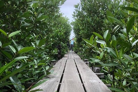 Kampot Countryside Tour - Pepper Farm, Salt Lake, Caves, and more