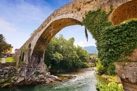 Full-Day Nature Private Tour: Picos de Europa National Park