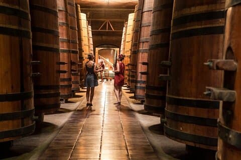 Visita privada al puerto de San Antonio Bodega Causiño y traslado al hotel