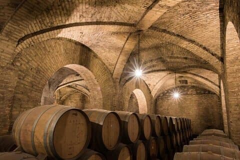 Private San Antonio, Visit Carolina Winery & Transfer to Hotel