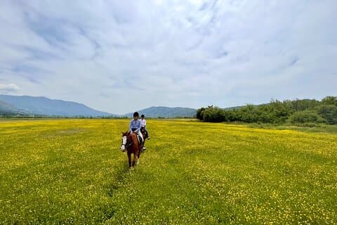 Horseback Riding Across River Ljuta with transport