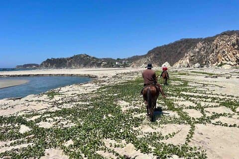 Strand Paardrijden Avontuur in Copalita, Huatulco