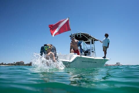 Privat Crab Island, snorkling og delfincruise i Shalimar