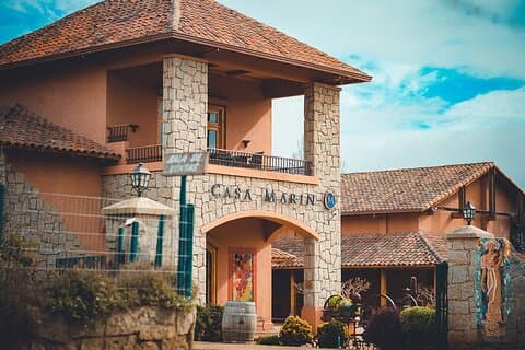 Private San Antonio, Visit Casa Marín Winery & Transfer to Hotel