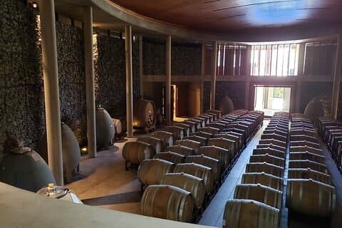 Private San Antonio Port, Visit Matetic Winery & Transfer Hotel