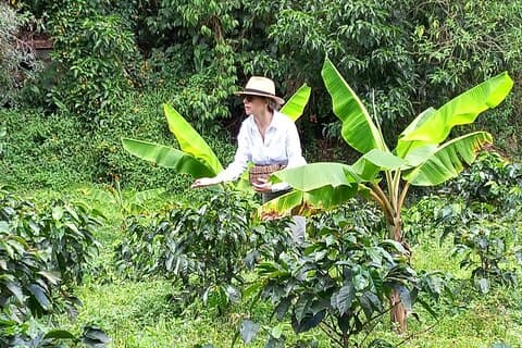 5-timers kaffe og Pablo Express Mix-tur i Medellín