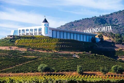 Private Tour in Valparaiso, visit Viña Indomita & Transfer