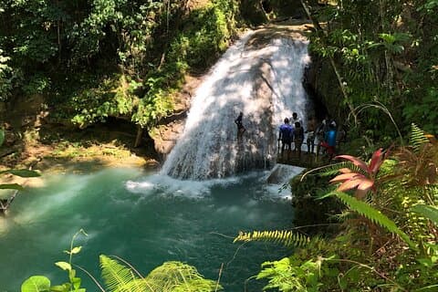 Dunn's River Falls och Blue Hole Private Tour från Montego Bay