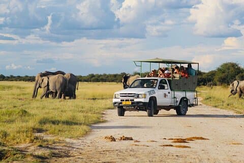 Safari i Etosha nationalpark med professionelle rejseguider født i Etosha.