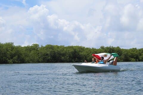 Jungle Tour & Snorkel - Découvrez le lagon, les mangroves et la vie marine