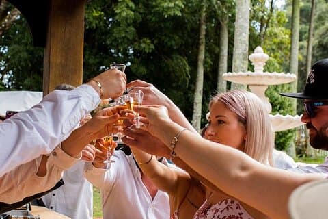 Ganztägige Weintour in Mt Tamborine ab Brisbane