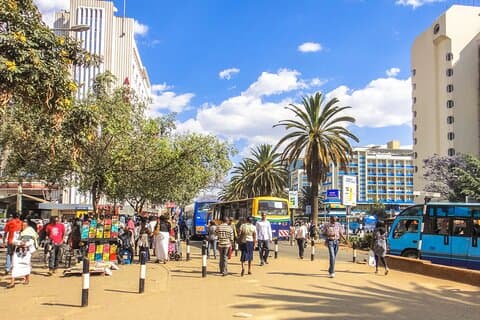 Tour guidato della città di Nairobi con ingresso al Museo Nazionale di Nairobi