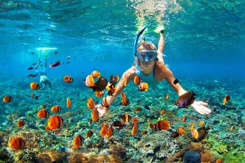 Boatride & Snorkeling then Margaritaville Hipstrip Activity