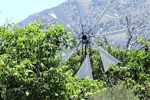 Liten grupptur till autentiska byar Lasithi Plateau & Olive Mill
