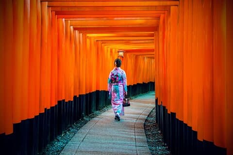 Excursão de dia inteiro em Kyoto com um companheiro de viagem local