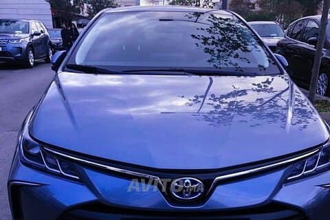 Pick up and Drop off - Airport to Hotel - Casablanca