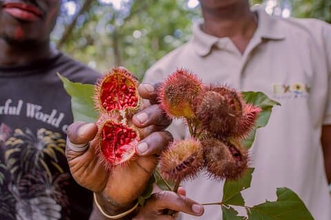 Excursão privada às especiarias de Zanzibar