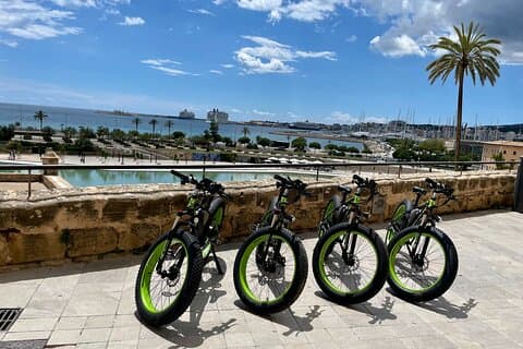 Excursion exclusive en vélo électrique Fat Tire à Palma