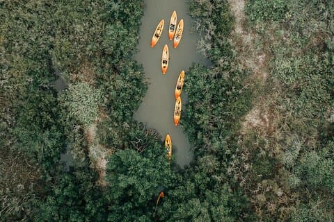 Excursion en kayak dans le tunnel de la mangrove des Mille-Îles avec kayak de cacao!