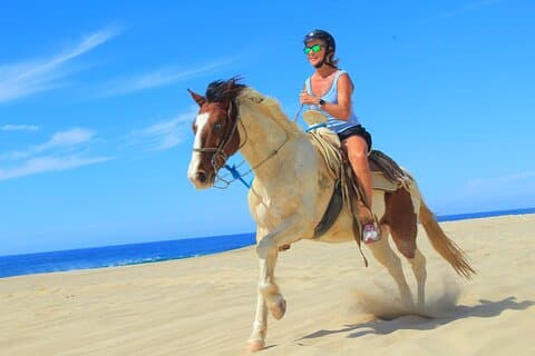 Restauranter i nærheden af Beach Horseback Ride & Tequila Tasting
