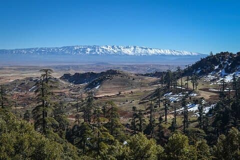 Day Tour From Fes to Middle Atlas (Imouzzer, Ifrane, and Azrou)