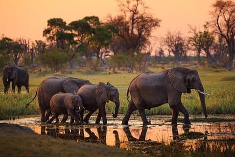 Safari confortevole di 4 giorni a Tarangire, Ngorongoro e Materuni