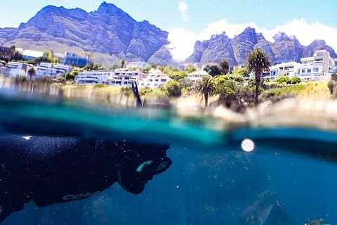 Kelp Forest Snorkelen in Kaapstad