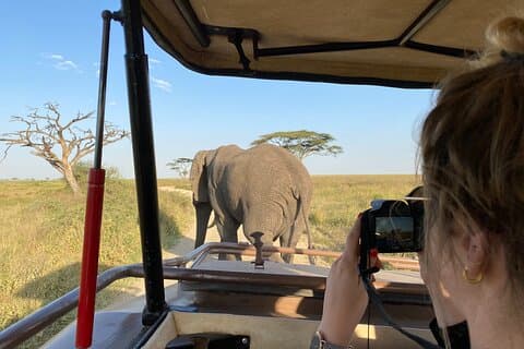 Dagtocht Safari van Zanzibar naar Mikumi per vlucht