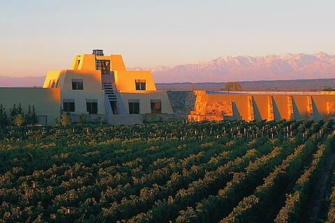 El Enemigo Winery + Angelica Zapata Lunch. Privat transport