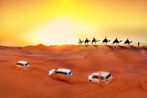 Private Doha Desert Adventure
