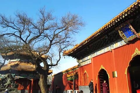 Private Layover Beijing Day Tour to Summer Palace and Lama Temple