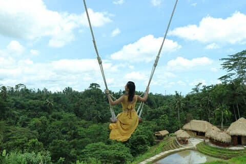 Ubud Tour med Bali Swing All Inclusive