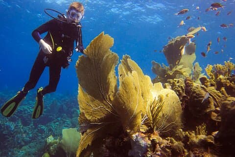 Personalized 2 Tank Guided Experience in Curaçao
