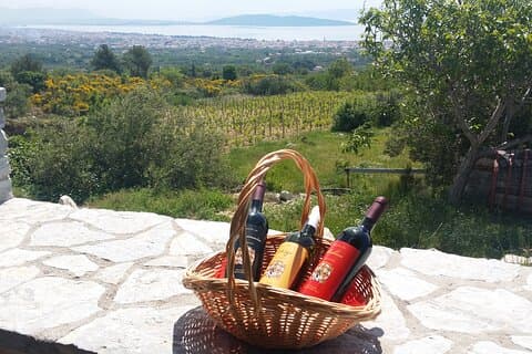 Tour de vinho Zinfandel de Split