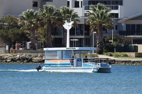 1 Hour Deluxe Scenic Dolphin Cruise